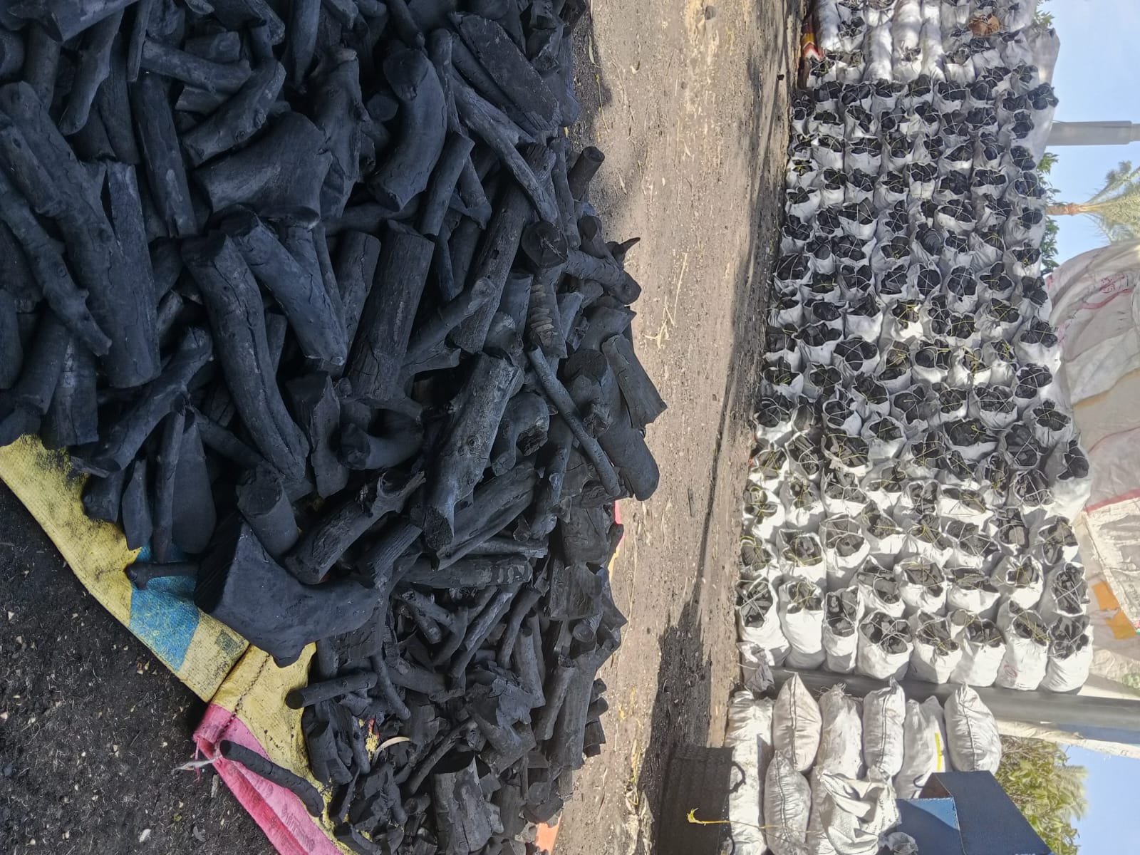 فحم خشب المانجو والجوافة الطبيعي (Natural Mango & Guava Charcoal)