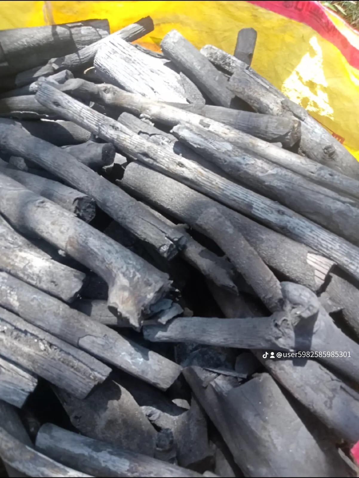 فحم خشب الجزورين الصافي للمشاوي والباربكيو (Casuarina BBQ Charcoal)
