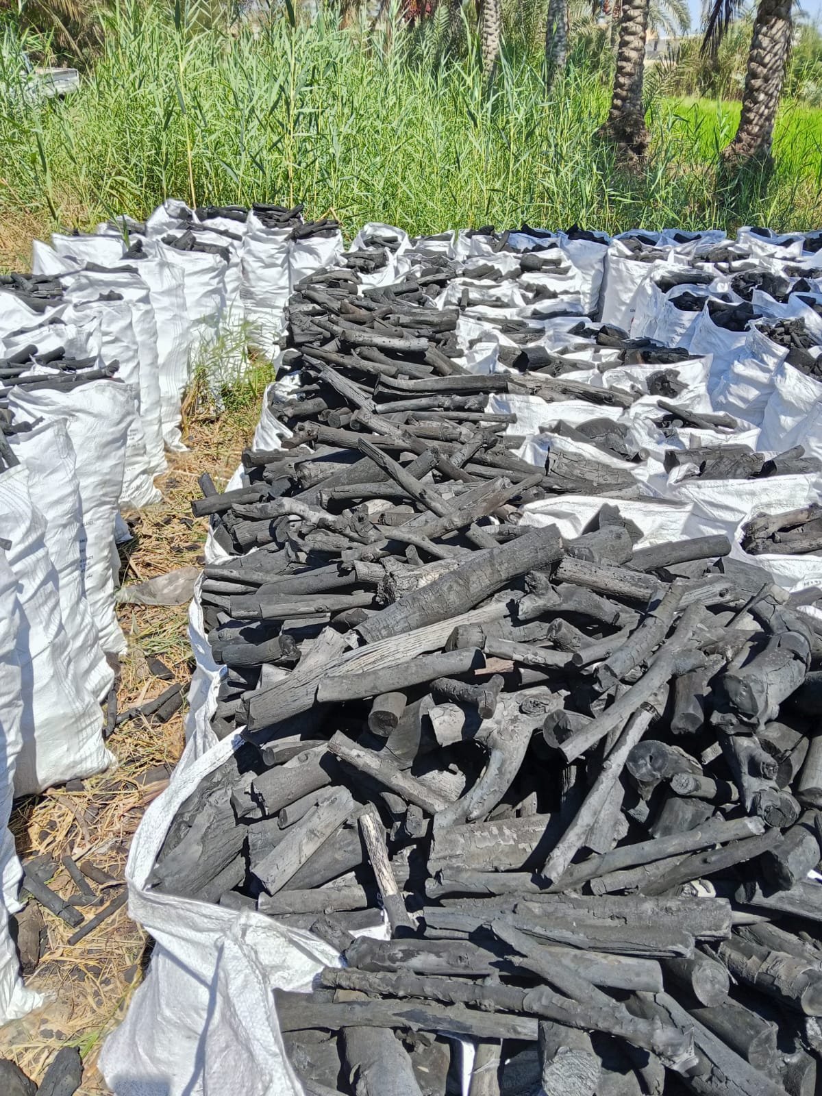 فحم خشب البرتقال والموالح الفاخر للشيشة (Citrus Hardwood Charcoal)